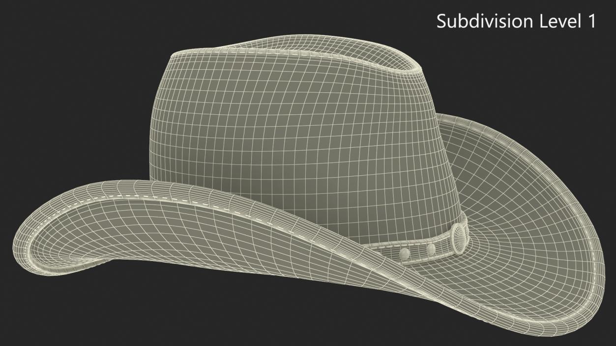 3D model Old Western Leather Cowboy Hat