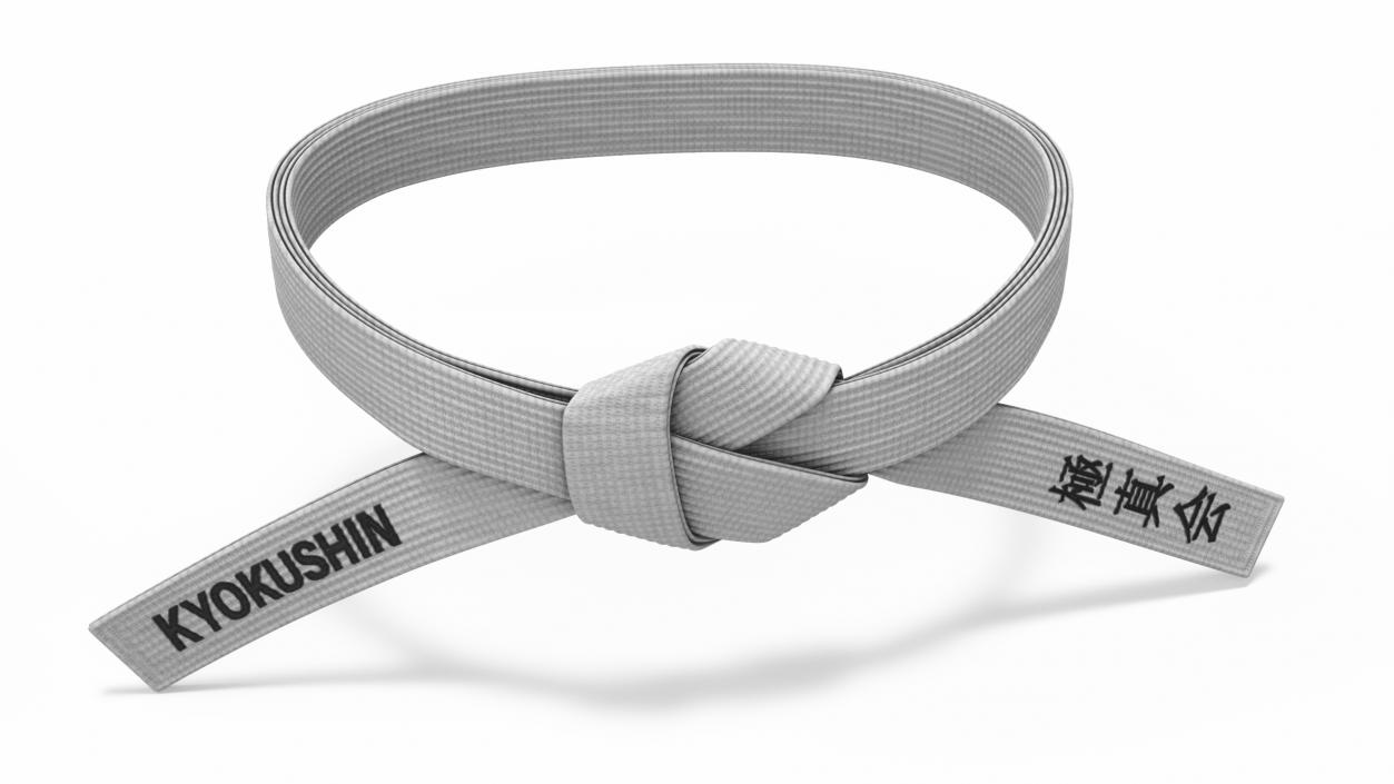 3D Waist White Martial Arts Obi Belts Set model