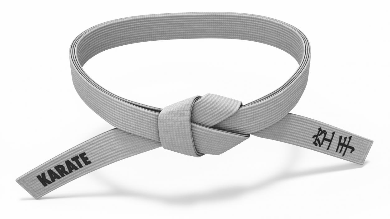 3D Waist White Martial Arts Obi Belts Set model