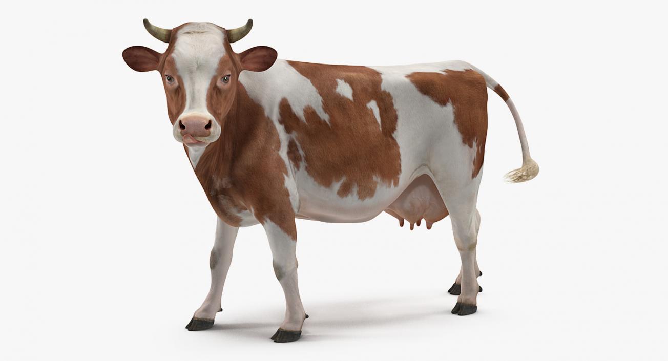 Cow with Farm Equipment Collection 3D model