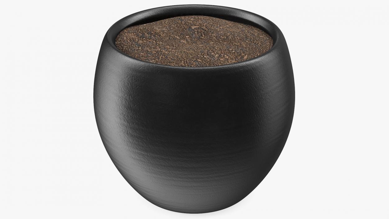 3D Ceramic Plant Pot Black model