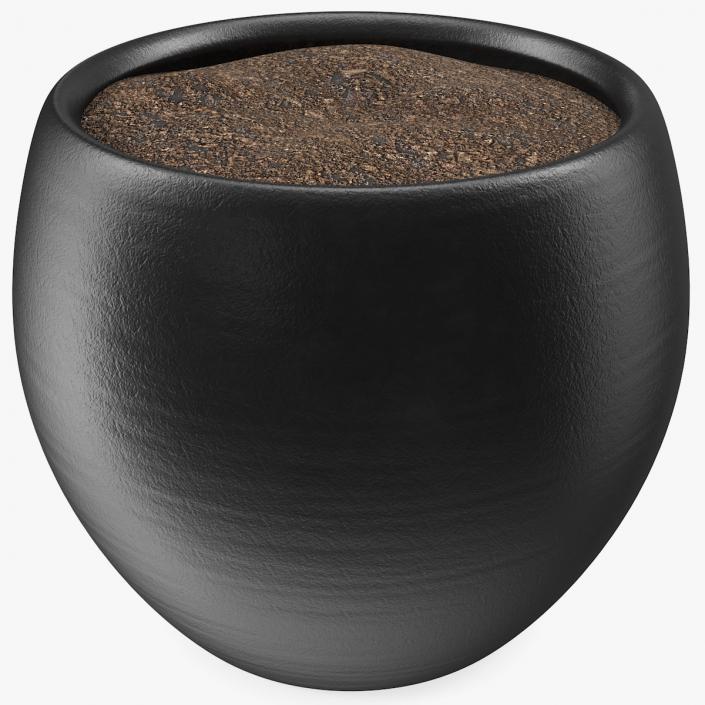 3D Ceramic Plant Pot Black model