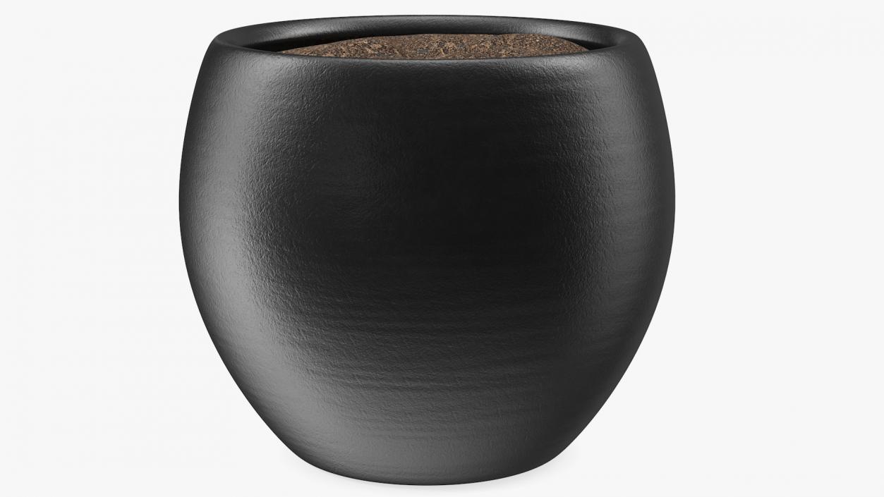 3D Ceramic Plant Pot Black model