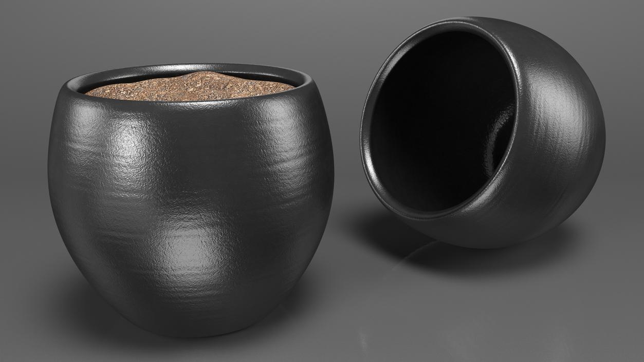 3D Ceramic Plant Pot Black model