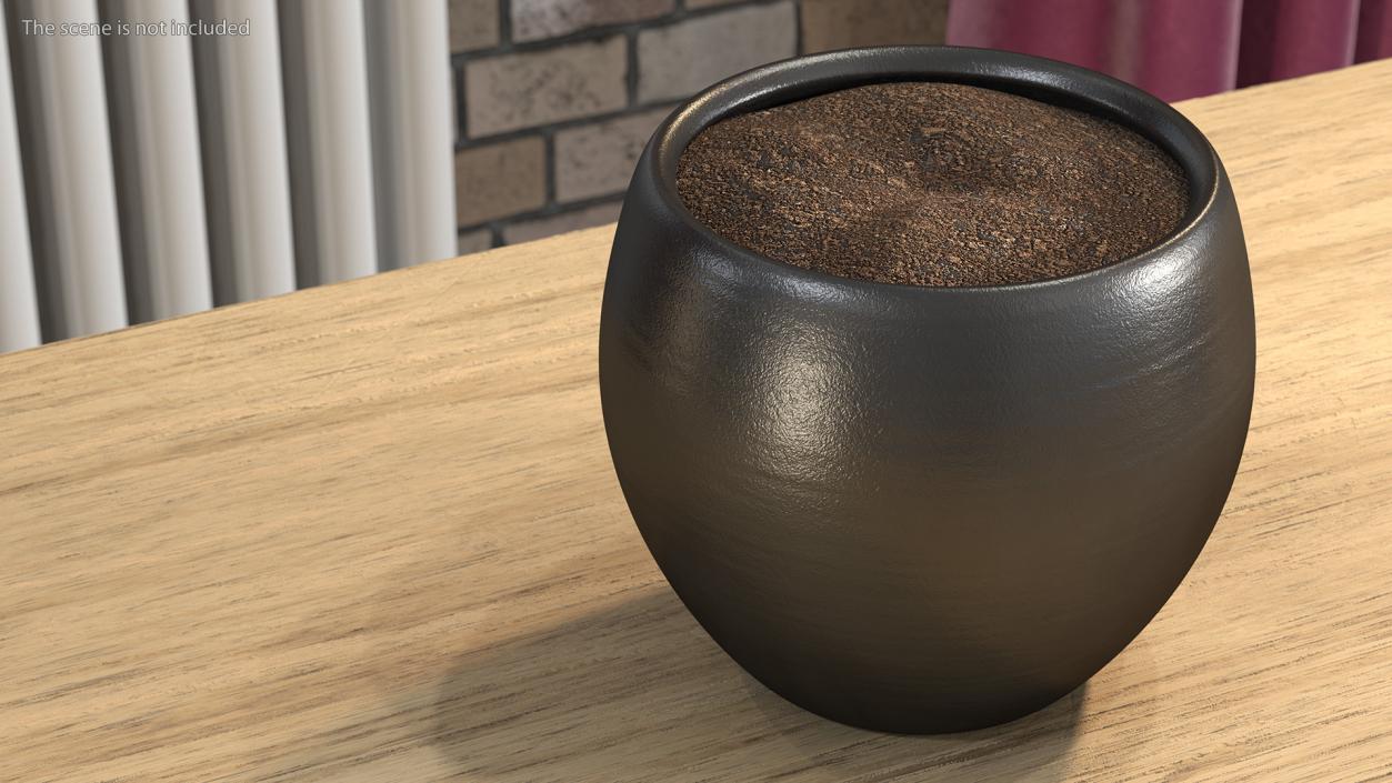 3D Ceramic Plant Pot Black model