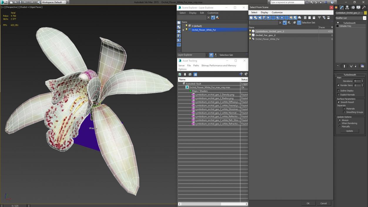 3D Orchid Flower White Fur model