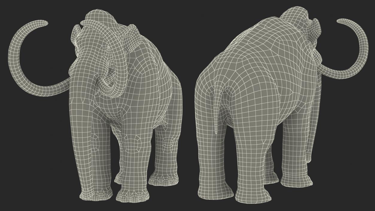 3D Adult Mammoth Clean Skeleton Shell Rigged