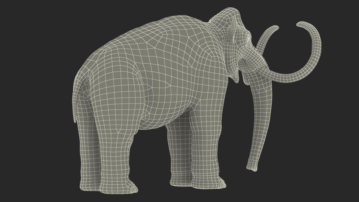 3D Adult Mammoth Clean Skeleton Shell Rigged