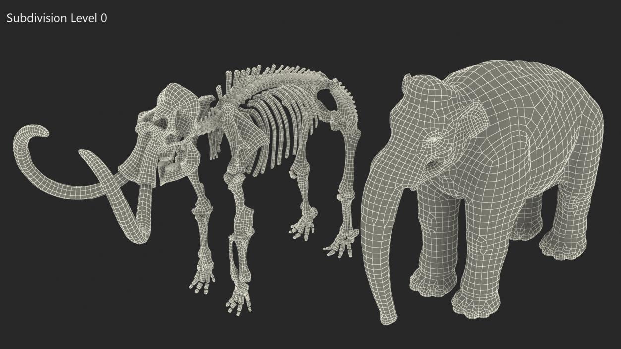 3D Adult Mammoth Clean Skeleton Shell Rigged