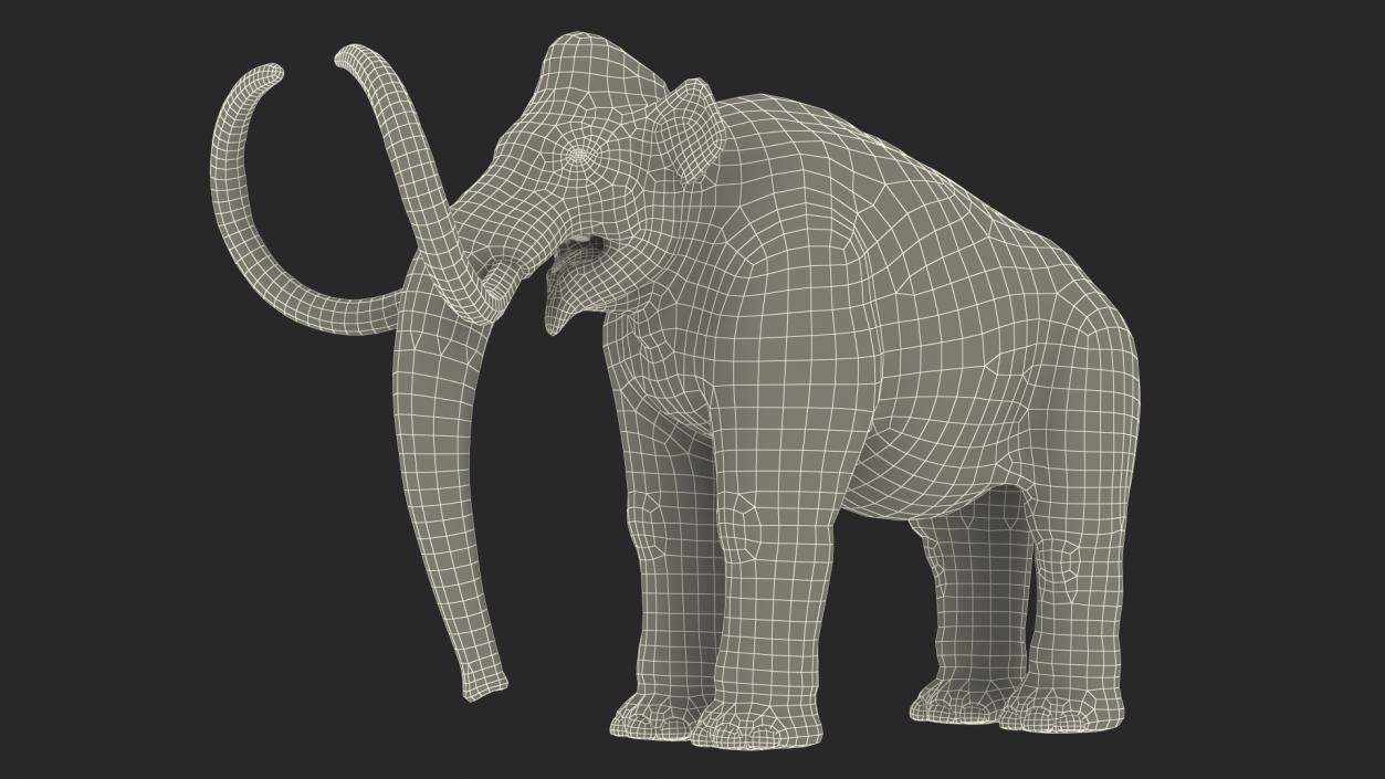 3D Adult Mammoth Clean Skeleton Shell Rigged