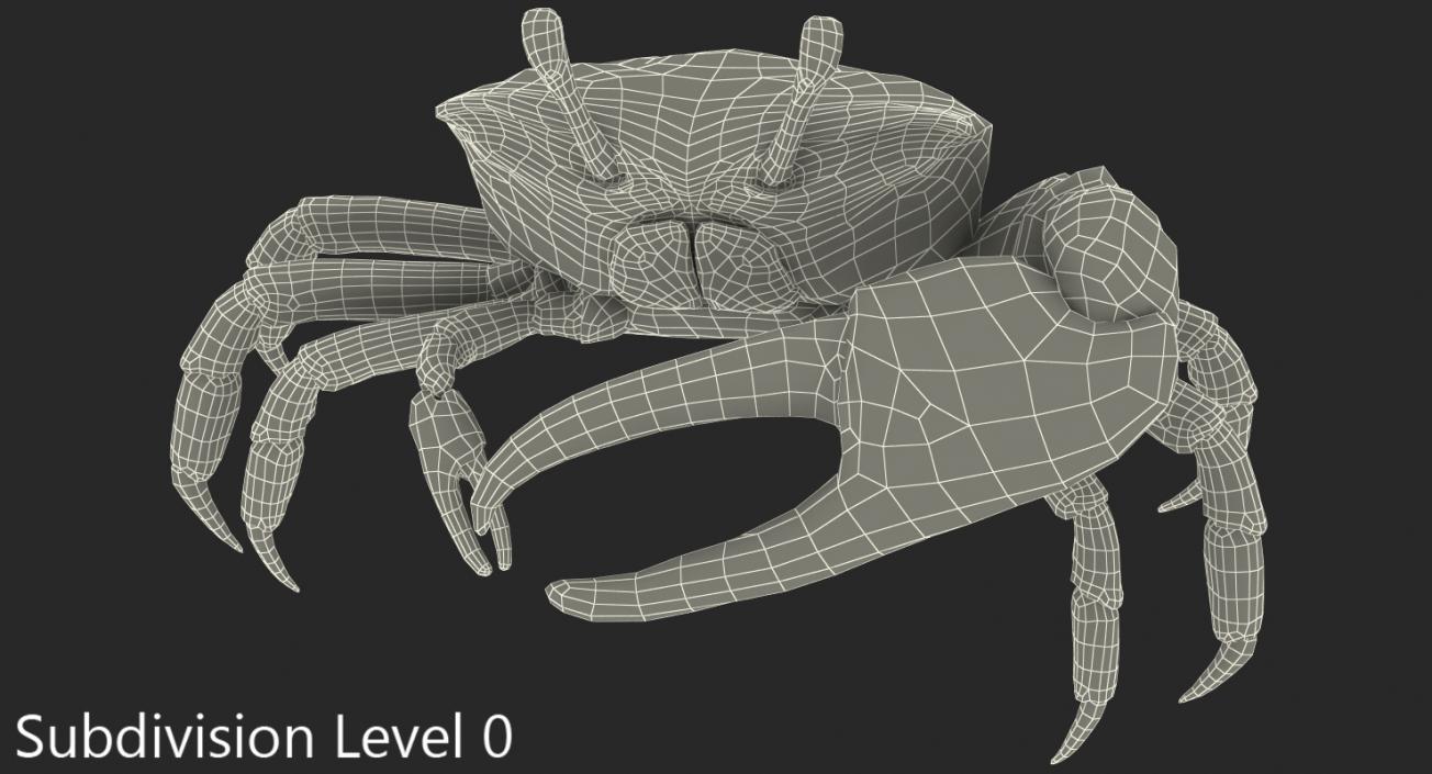 3D Calling Crab Standing Pose