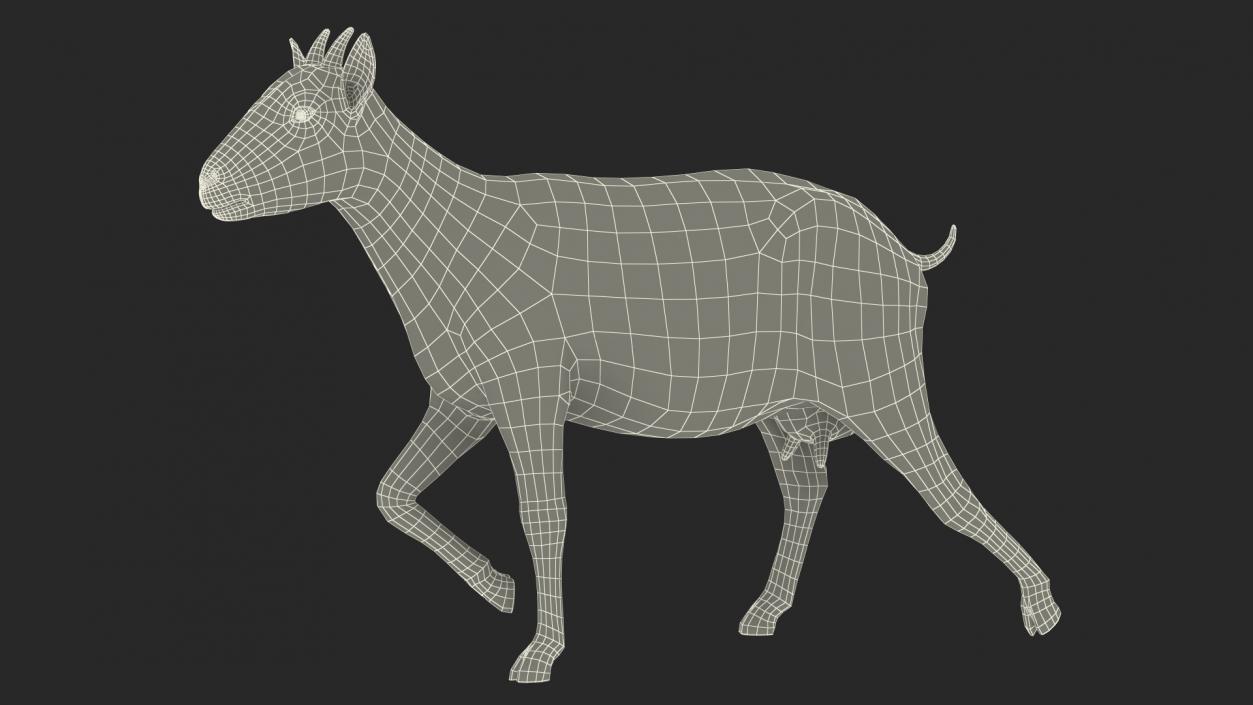 Walking Goat 3D