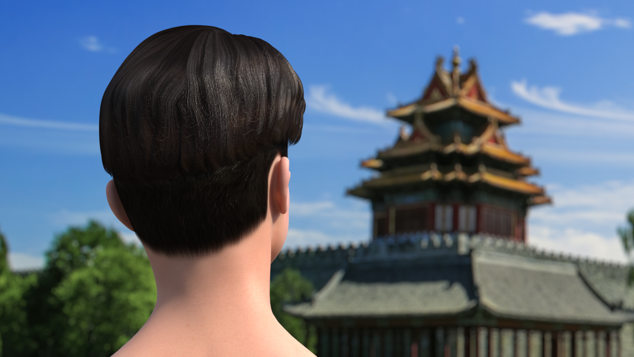 3D Chinese Man Head