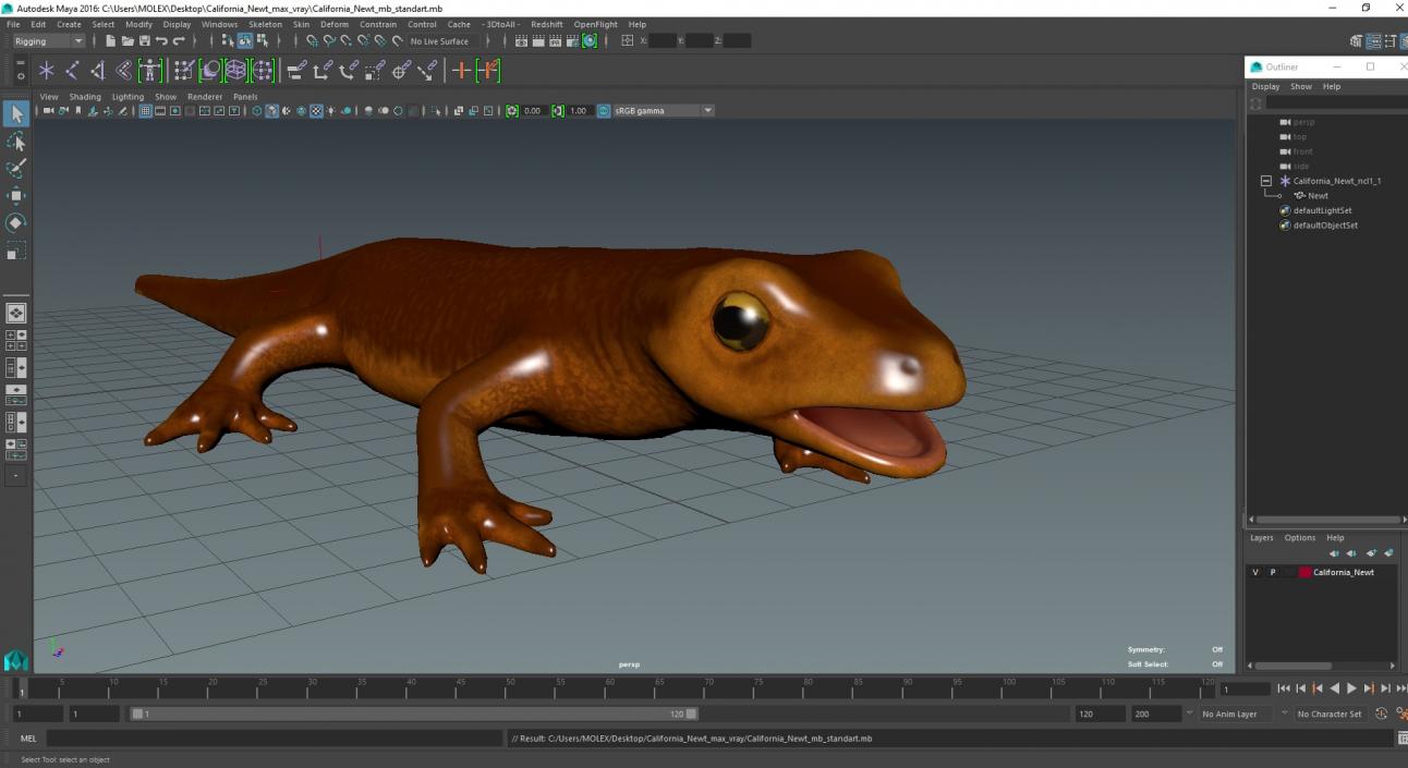 3D model California Newt