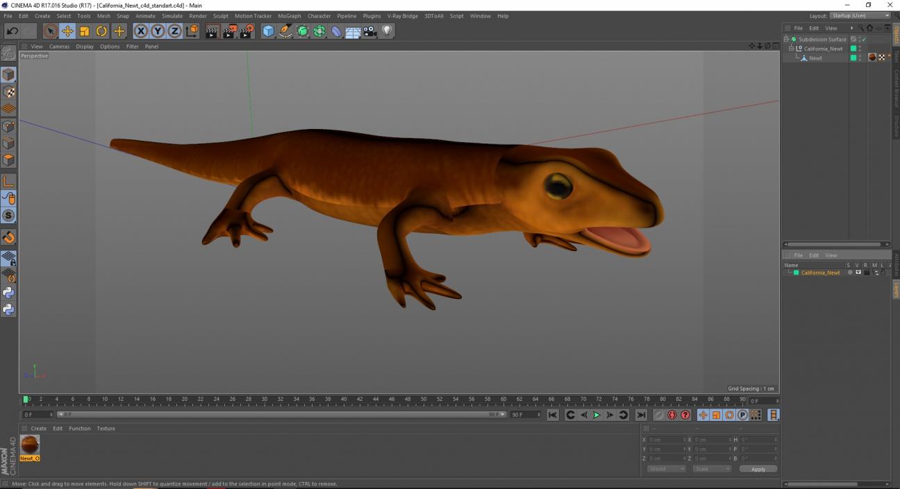 3D model California Newt