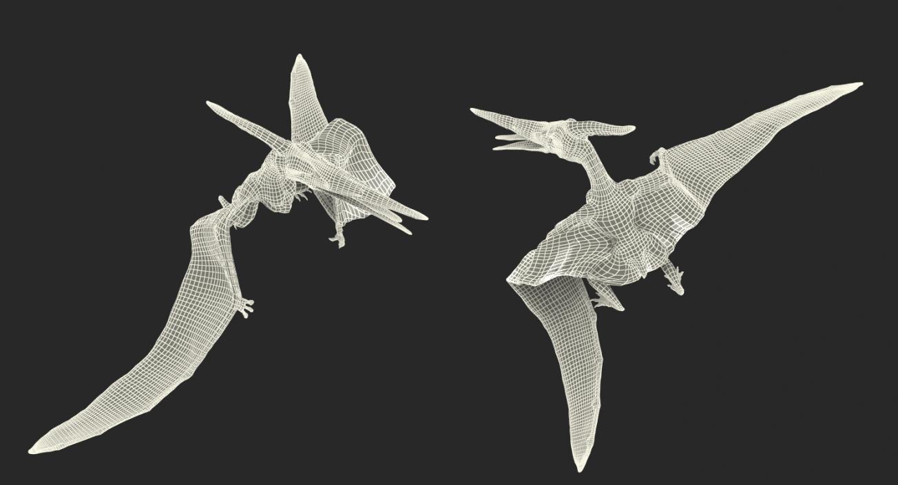 Pteranodon Flying Carnivorous Reptile Rigged 3D model