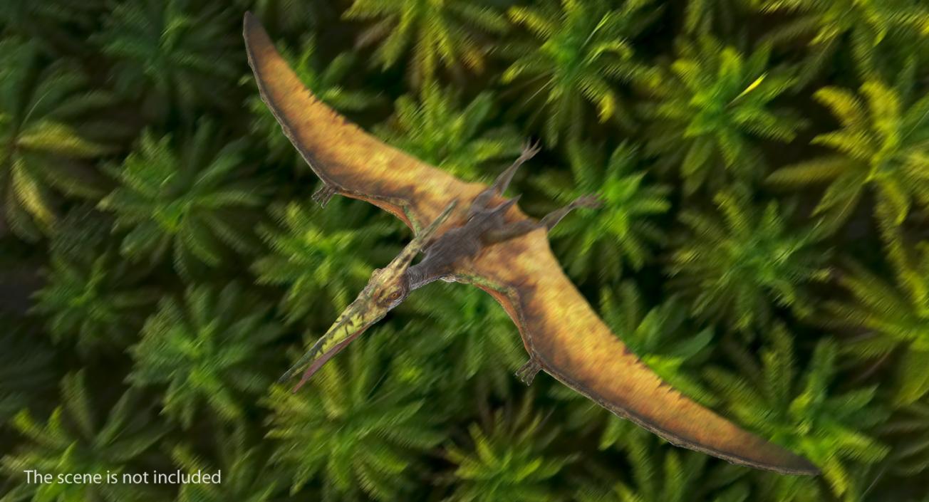 Pteranodon Flying Carnivorous Reptile Rigged 3D model