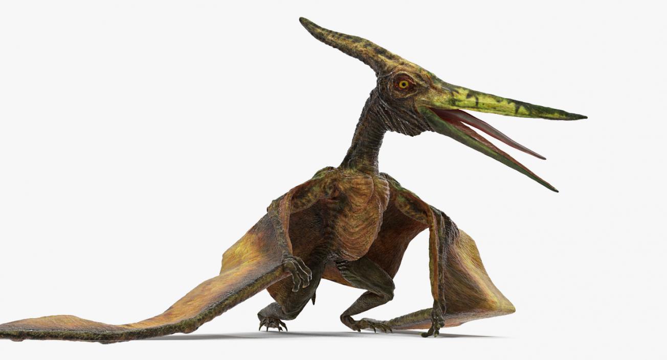 Pteranodon Flying Carnivorous Reptile Rigged 3D model