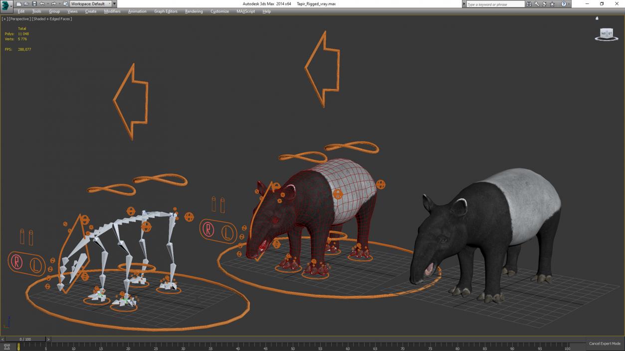 3D Tapir Rigged for Cinema 4D