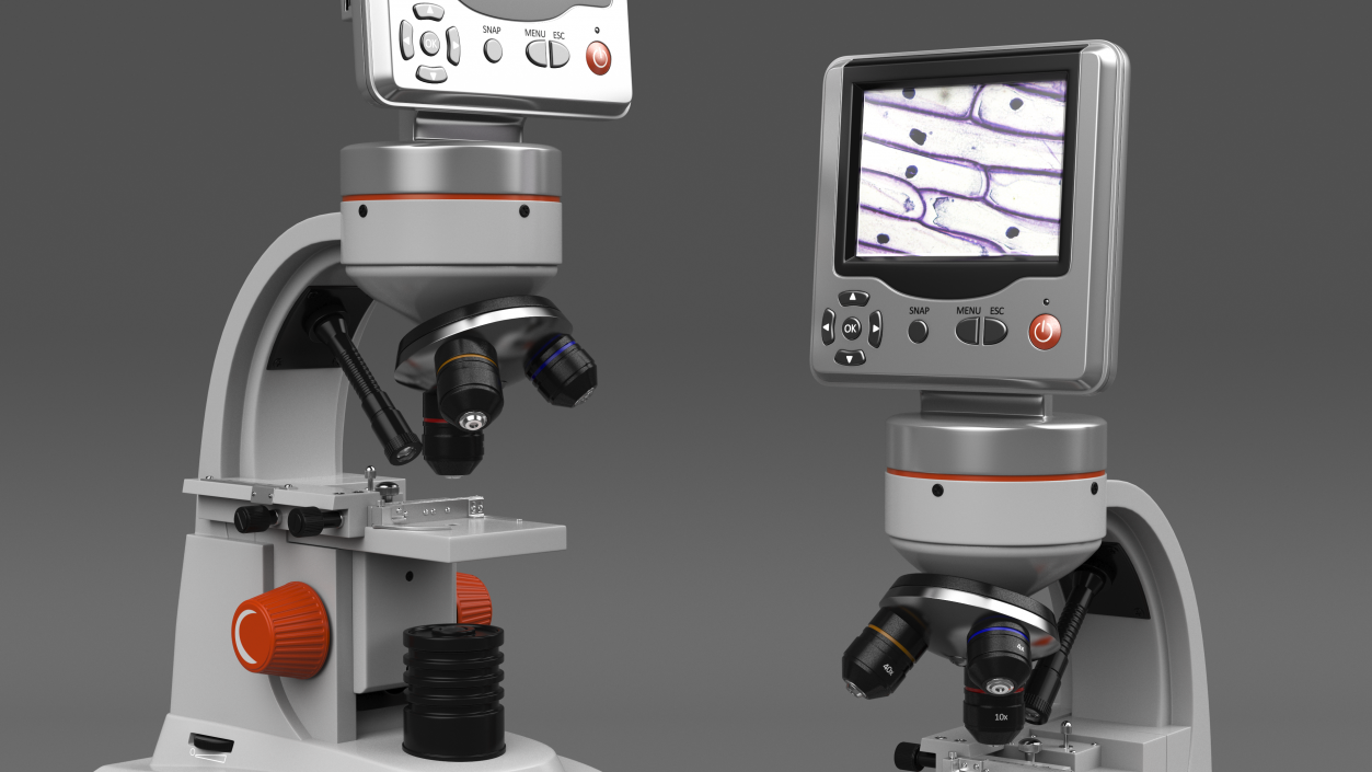 Professional Biological Microscope 3D model