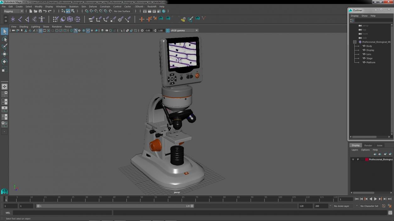 Professional Biological Microscope 3D model