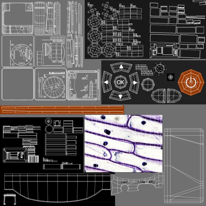 Professional Biological Microscope 3D model