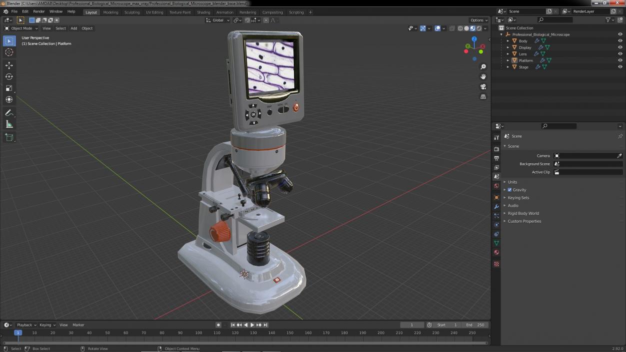 Professional Biological Microscope 3D model