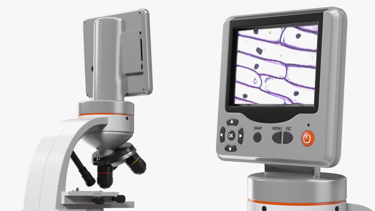 Professional Biological Microscope 3D model