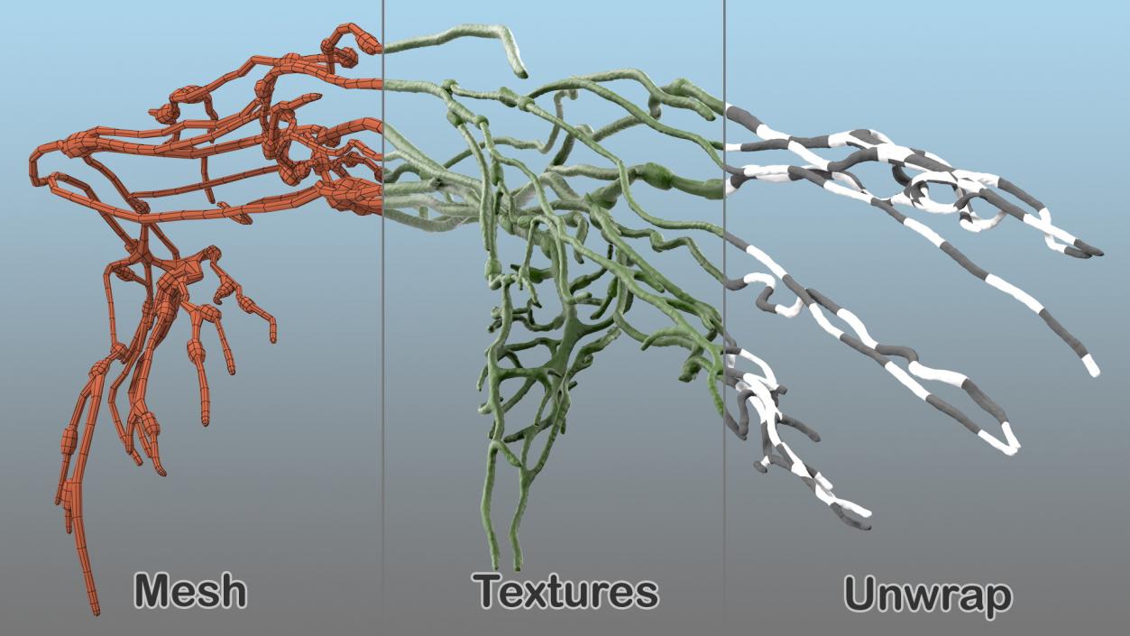 3D Human Arm Lymphatic System