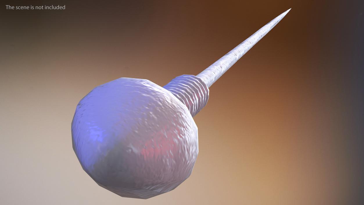 Human Sperm Cell Rigged for Cinema 4D 3D