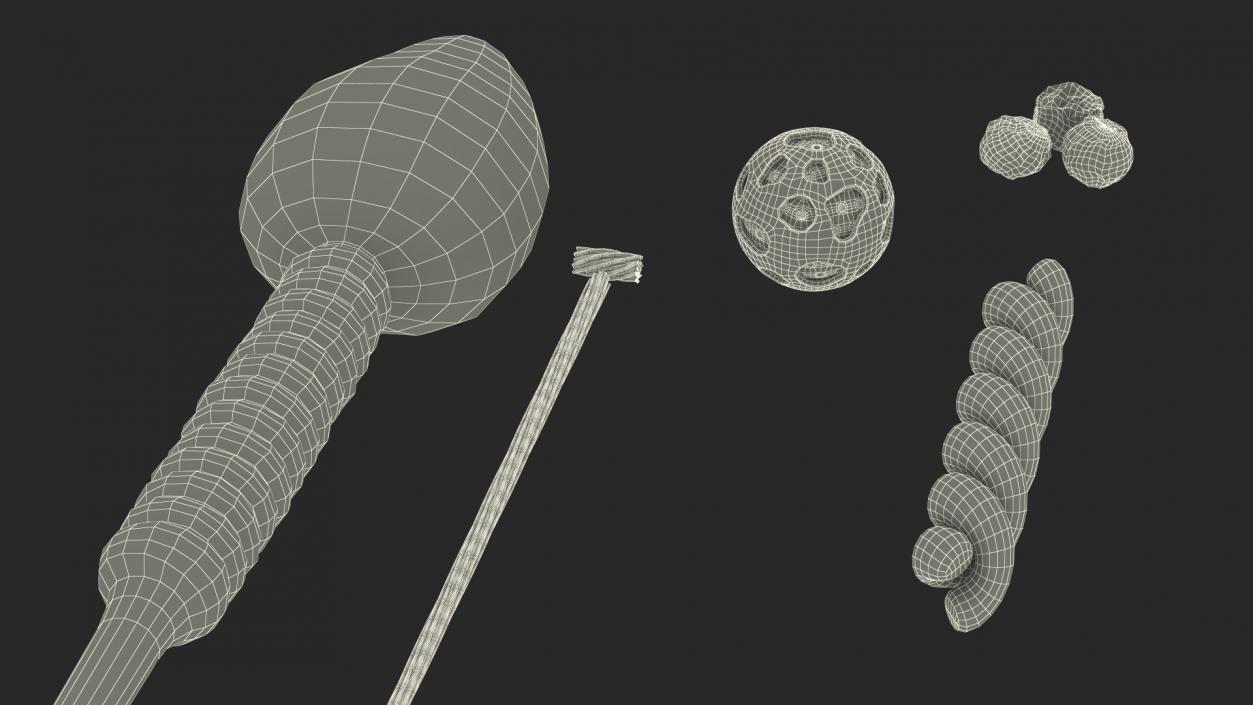 Human Sperm Cell Rigged for Cinema 4D 3D