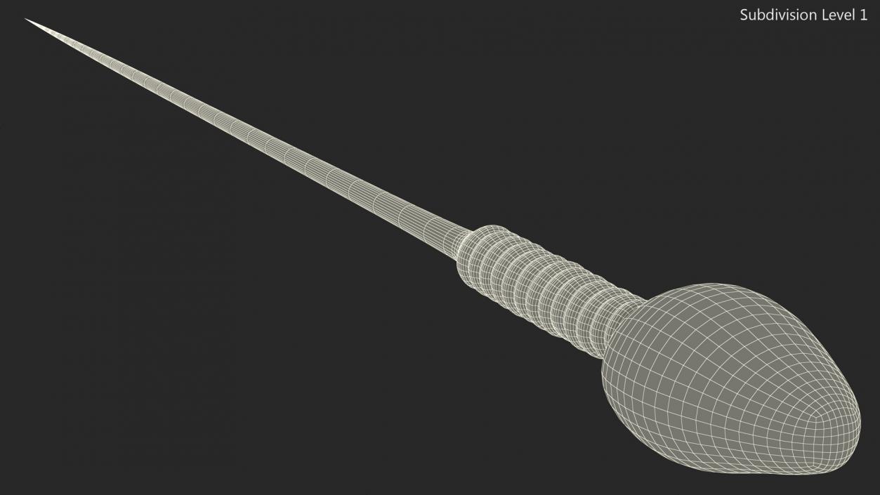 Human Sperm Cell Rigged for Cinema 4D 3D