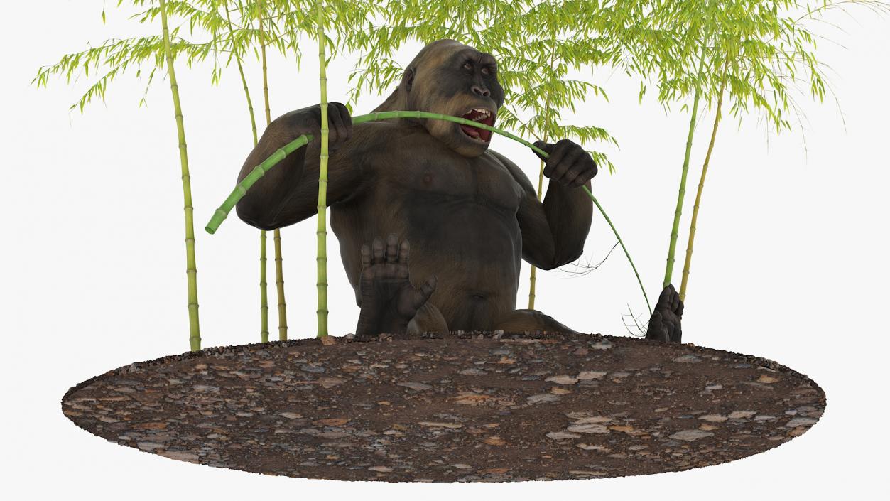 Big Ape Gigantopithecus Eats Bamboo Plants 3D