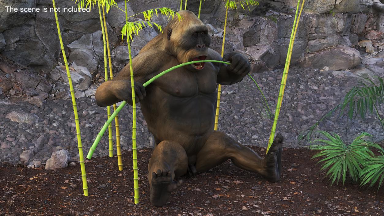 Big Ape Gigantopithecus Eats Bamboo Plants 3D