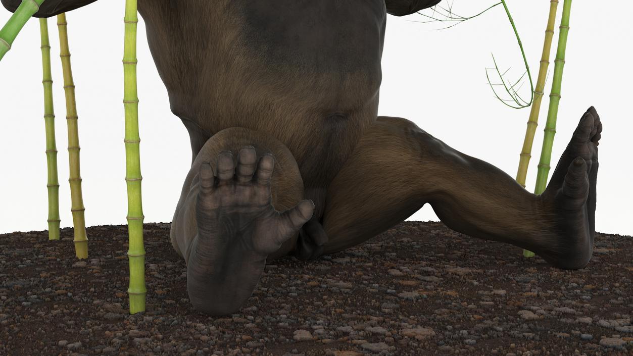 Big Ape Gigantopithecus Eats Bamboo Plants 3D