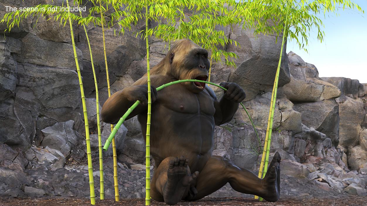 Big Ape Gigantopithecus Eats Bamboo Plants 3D