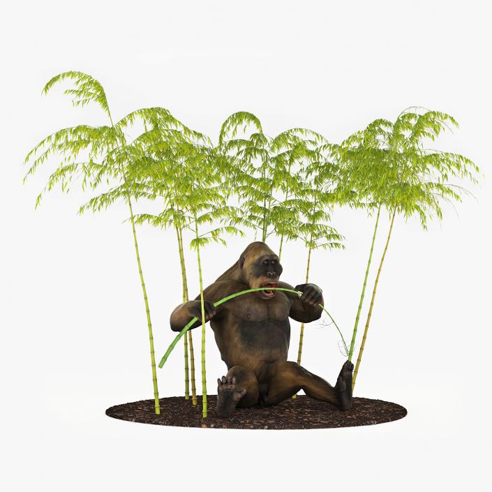 Big Ape Gigantopithecus Eats Bamboo Plants 3D