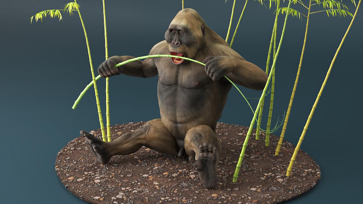 Big Ape Gigantopithecus Eats Bamboo Plants 3D