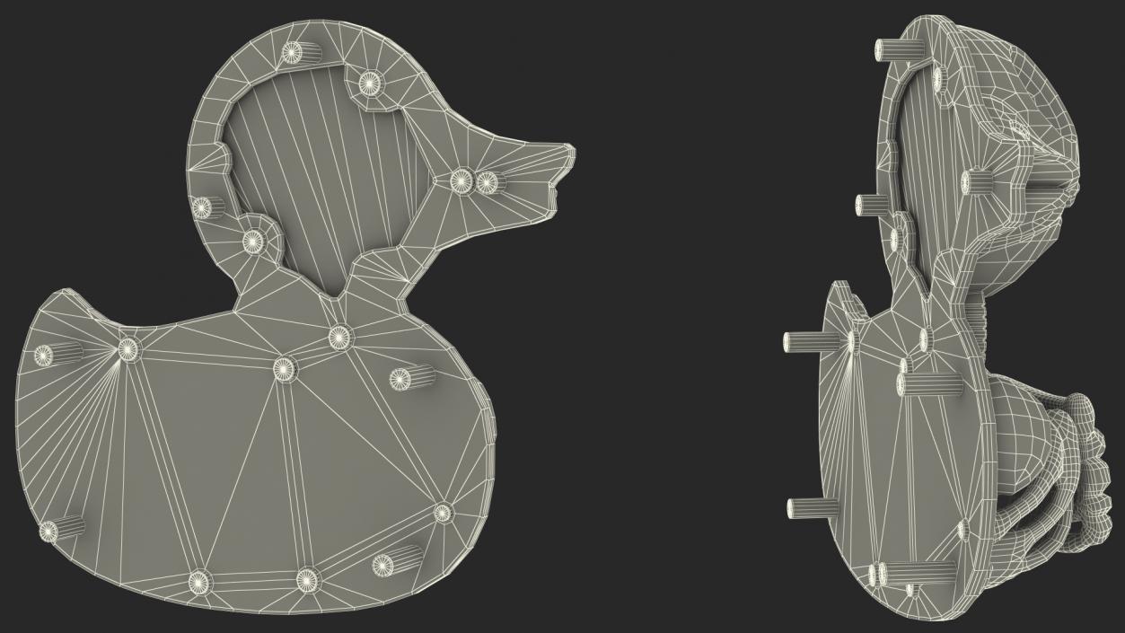 3D Bath Duck Anatomy Skeleton