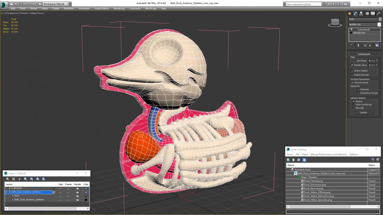 3D Bath Duck Anatomy Skeleton