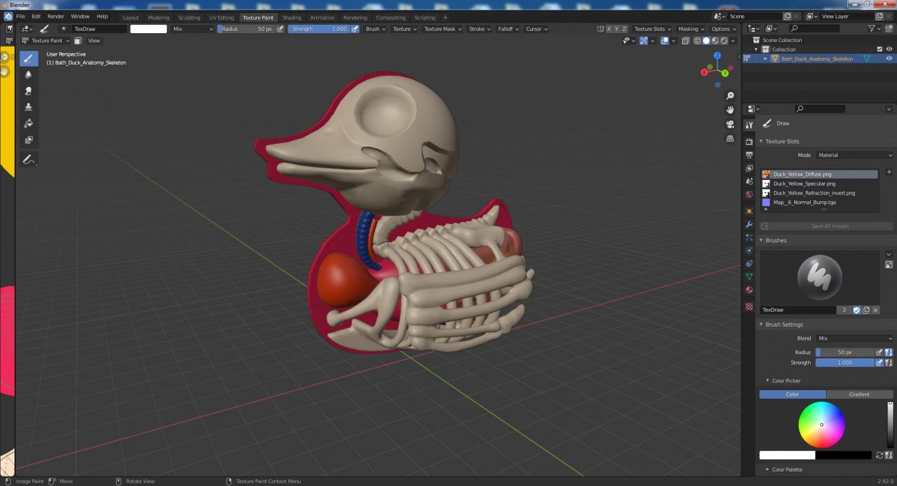 3D Bath Duck Anatomy Skeleton