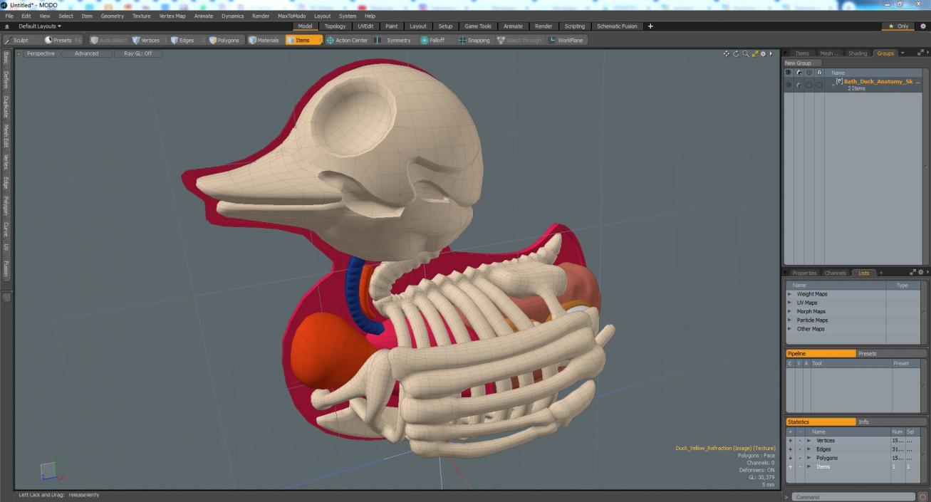 3D Bath Duck Anatomy Skeleton