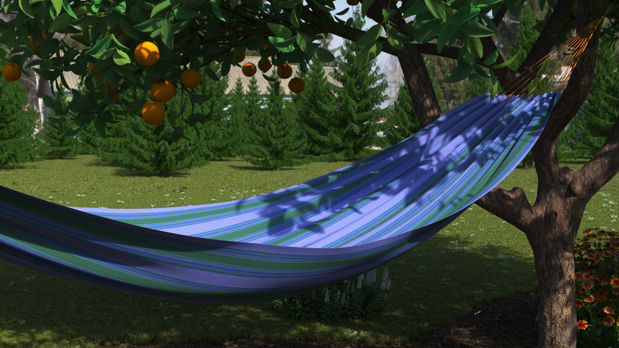 3D Striped Hammock Relaxation