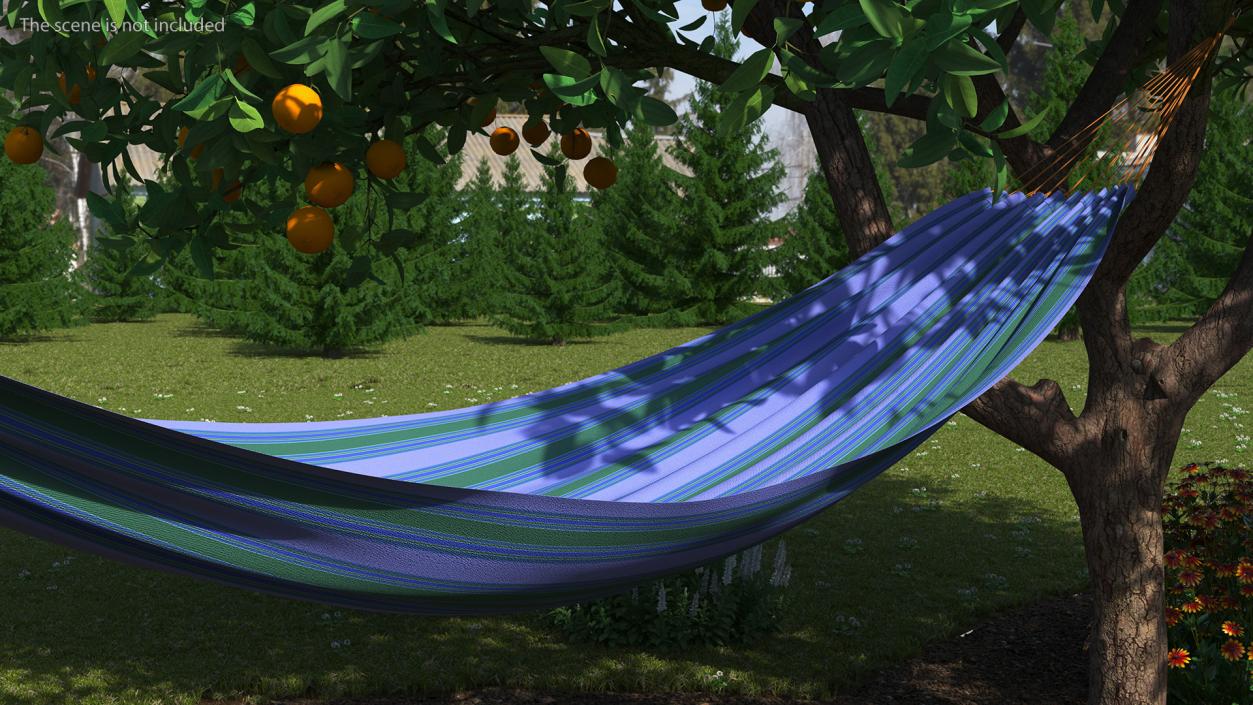 3D Striped Hammock Relaxation