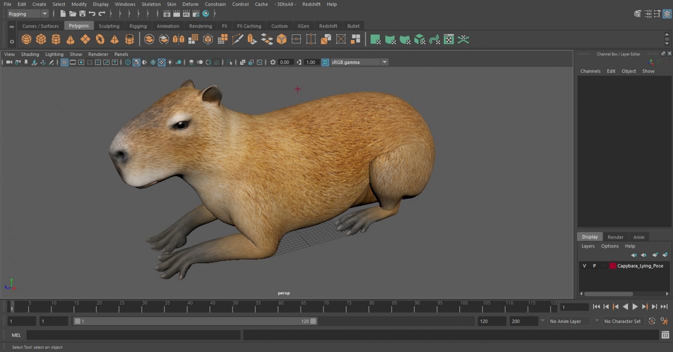 Capybara Lying Pose 3D model