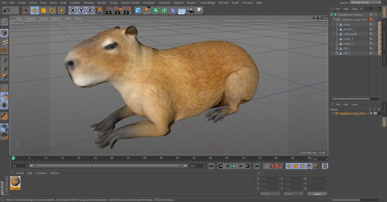 Capybara Lying Pose 3D model