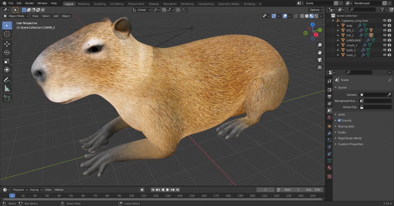 Capybara Lying Pose 3D model