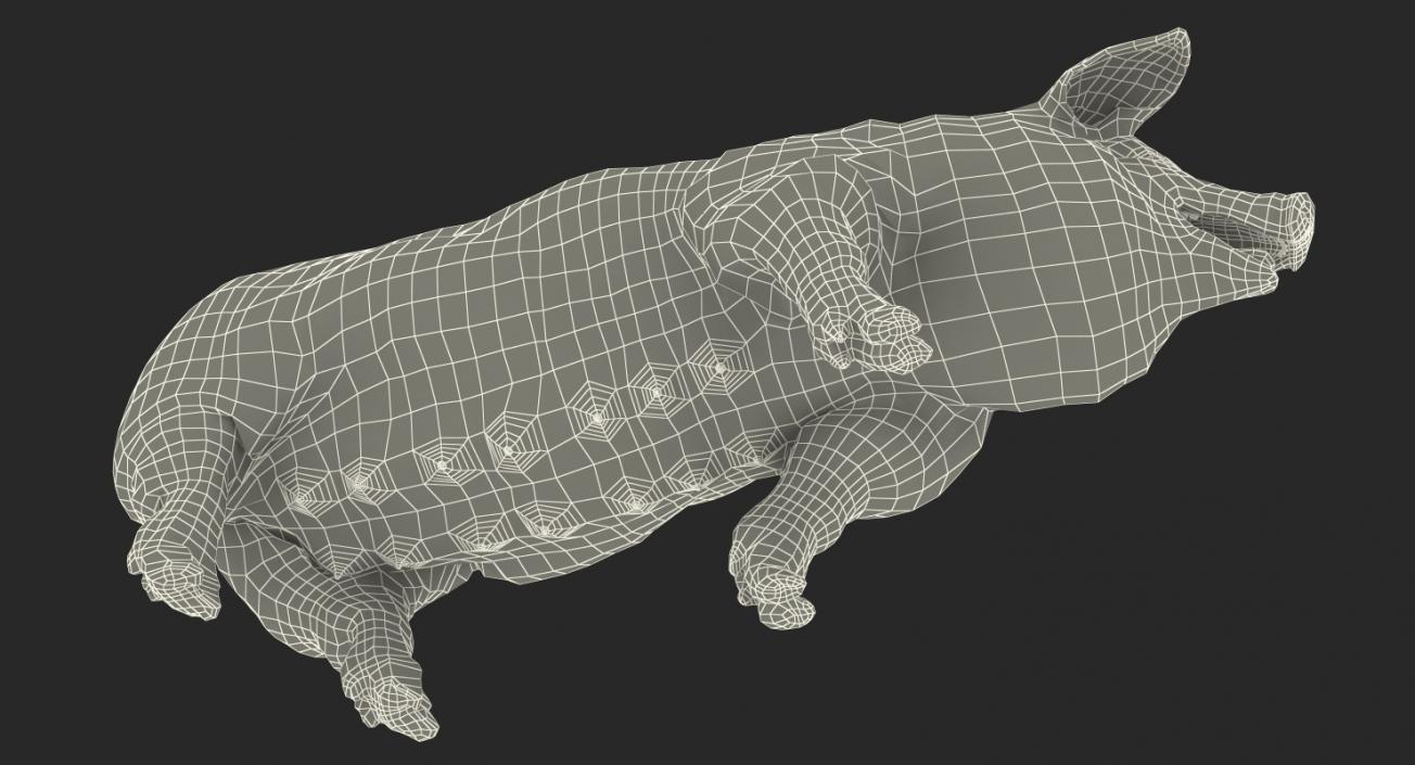 Pig Sow Peitrain Walking Pose 3D model