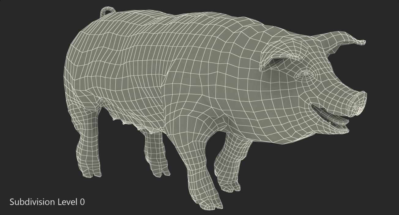 Pig Sow Peitrain Walking Pose 3D model