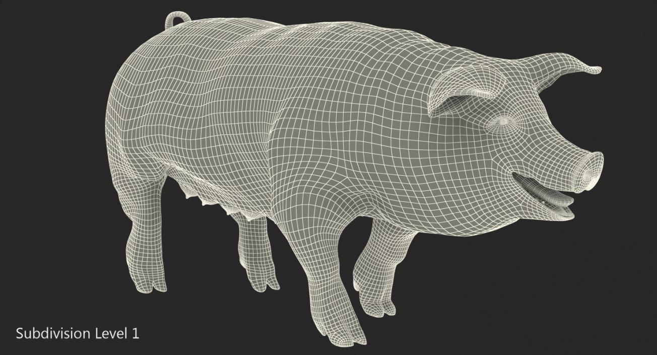 Pig Sow Peitrain Walking Pose 3D model